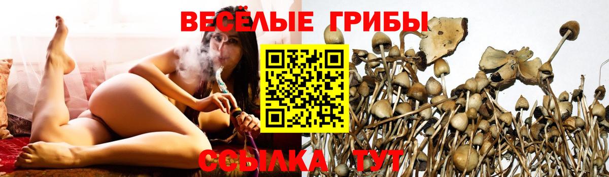 Южно-Сахалинск  Псилоцибиновые грибы Magic Shrooms  Вход с VPN  Галлюциногенные грибы Psilocybe 